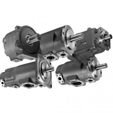 Sumitomo QT6222-100-6.3F Double Gear Pump
