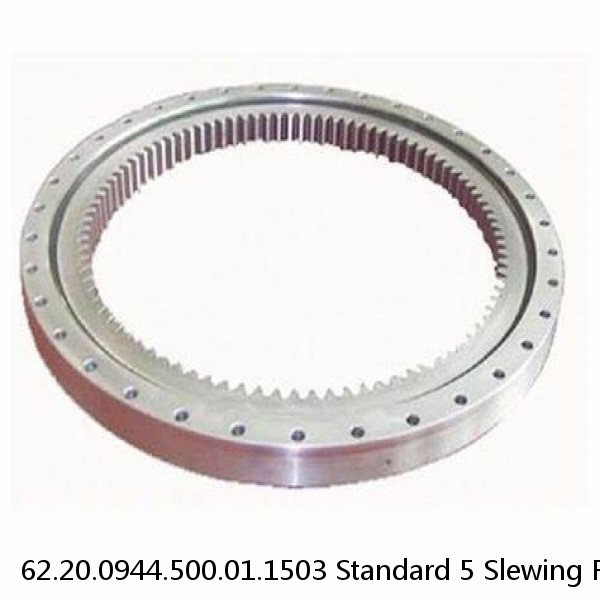 62.20.0944.500.01.1503 Standard 5 Slewing Ring Bearings