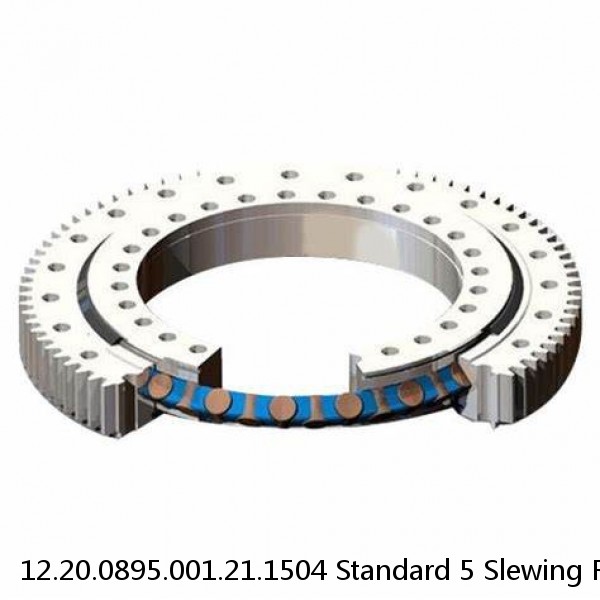 12.20.0895.001.21.1504 Standard 5 Slewing Ring Bearings