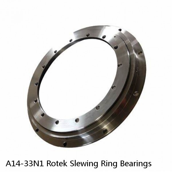 A14-33N1 Rotek Slewing Ring Bearings