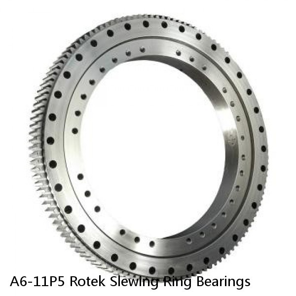 A6-11P5 Rotek Slewing Ring Bearings