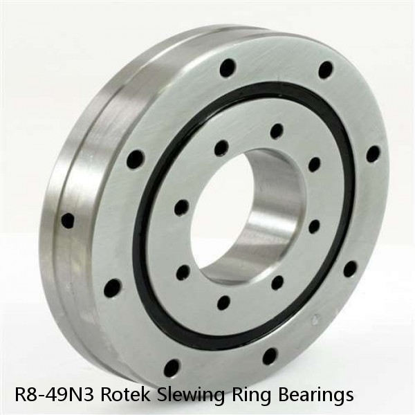 R8-49N3 Rotek Slewing Ring Bearings