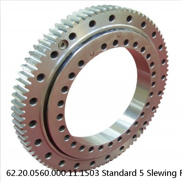 62.20.0560.000.11.1503 Standard 5 Slewing Ring Bearings