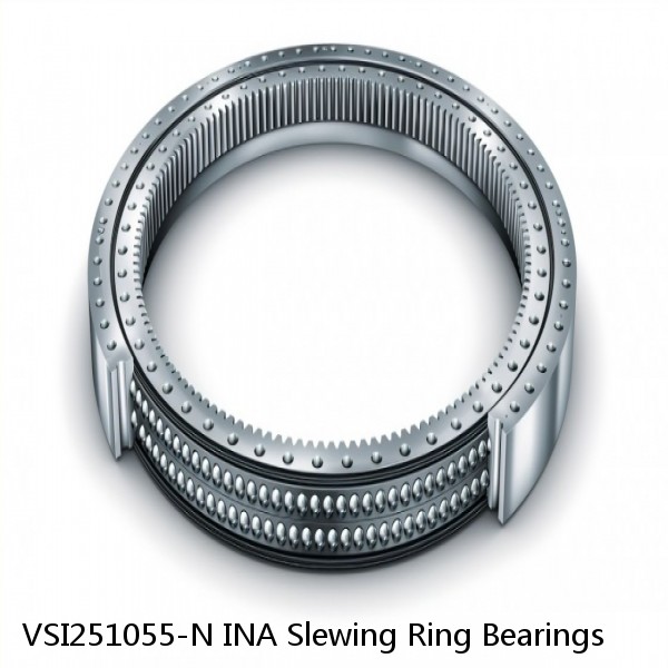 VSI251055-N INA Slewing Ring Bearings