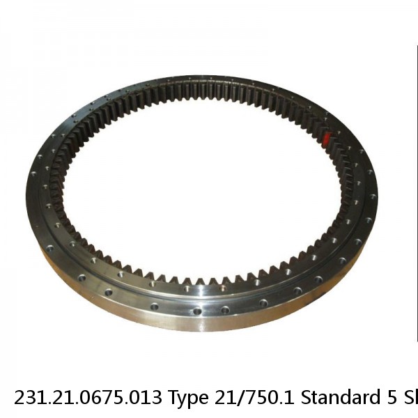 231.21.0675.013 Type 21/750.1 Standard 5 Slewing Ring Bearings