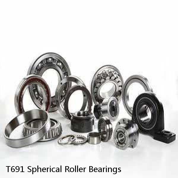 T691 Spherical Roller Bearings