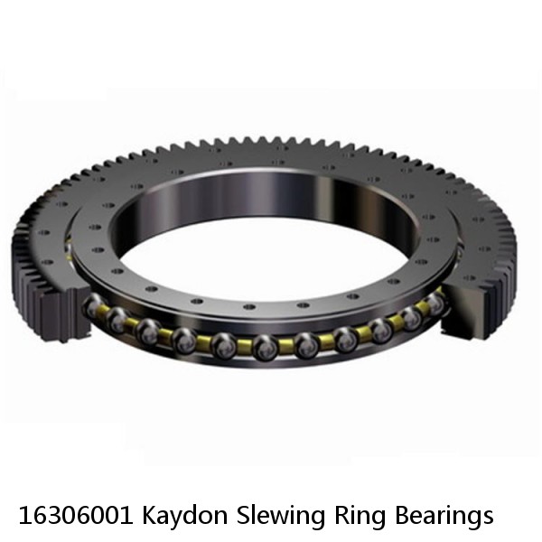 16306001 Kaydon Slewing Ring Bearings