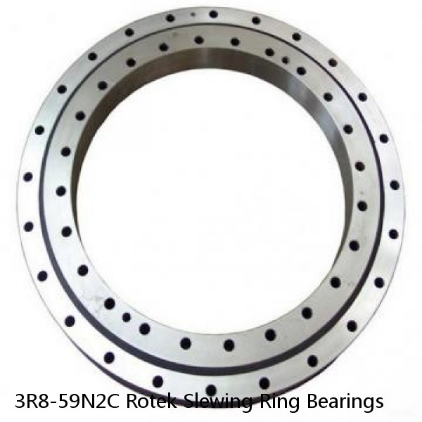 3R8-59N2C Rotek Slewing Ring Bearings