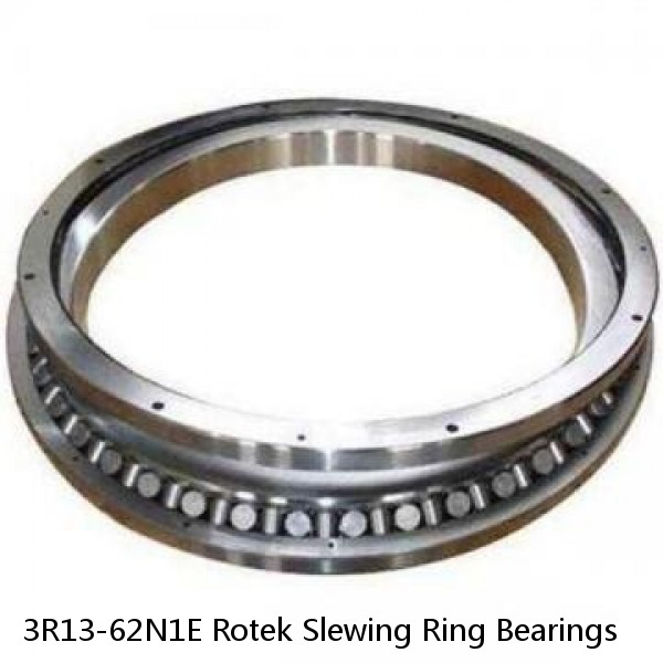 3R13-62N1E Rotek Slewing Ring Bearings