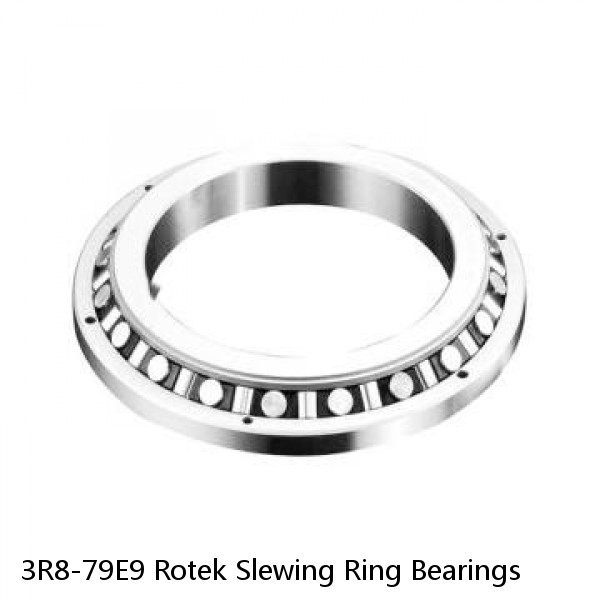 3R8-79E9 Rotek Slewing Ring Bearings