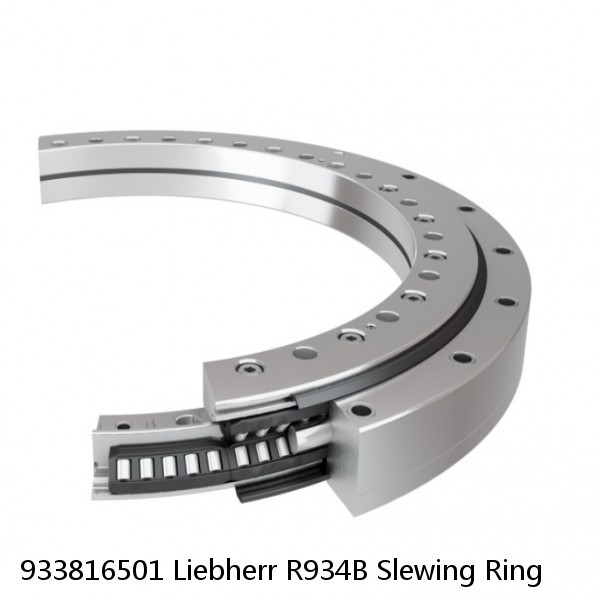 933816501 Liebherr R934B Slewing Ring