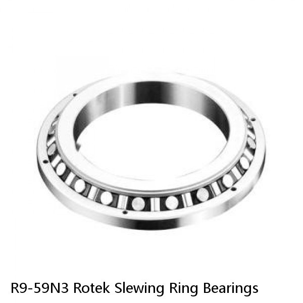 R9-59N3 Rotek Slewing Ring Bearings