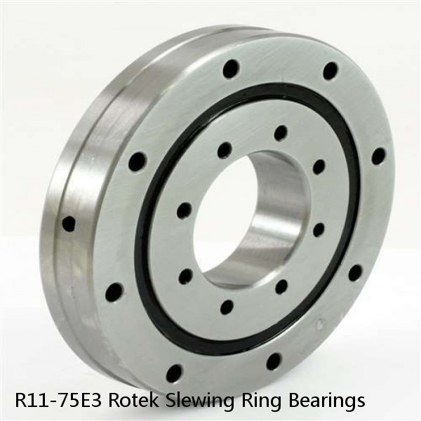 R11-75E3 Rotek Slewing Ring Bearings